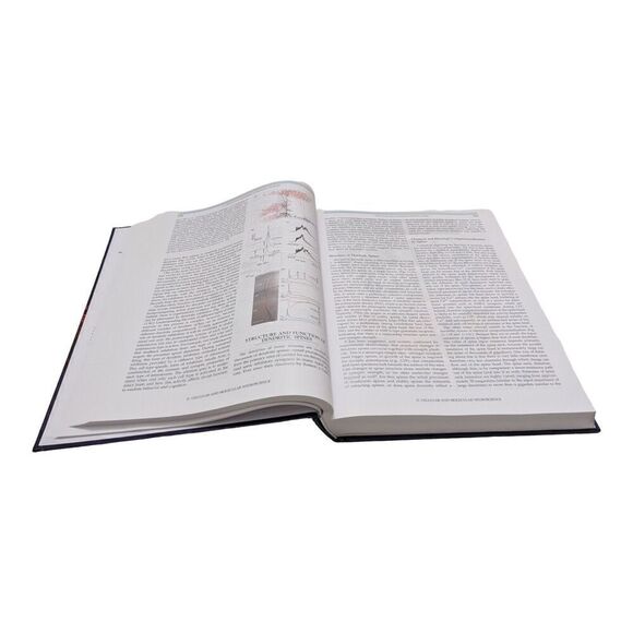 Fundamental Neuroscience by Squire, Berg, Bloom, Lac, Ghosh, Spitzer - Picture 5 of 7